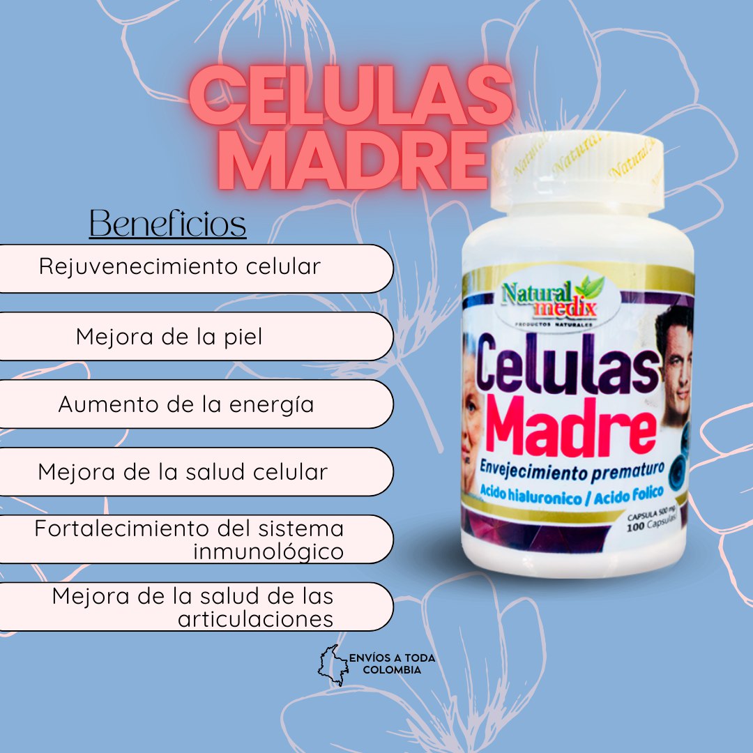 CELULAS MADRES