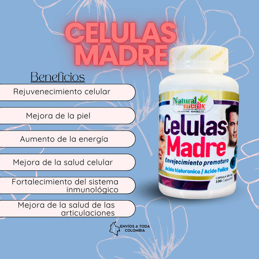 CELULAS MADRES